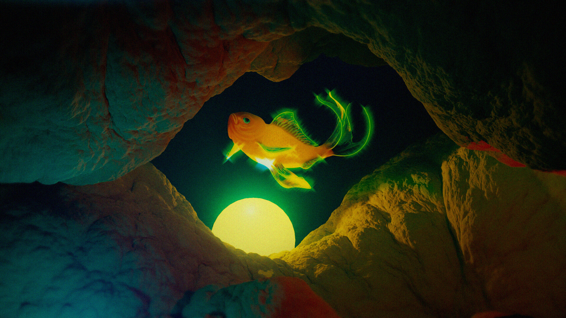 The Holy Fish - تصویر 9687