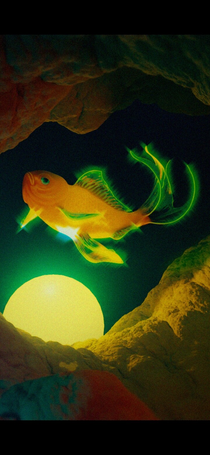 The Holy Fish - تصویر 9688