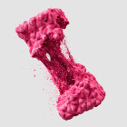 Tearing Grain - انیمیشن سه بعدی