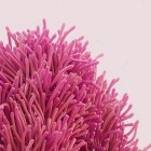 Underwater - انیمیشن سه بعدی گیاهان دریایی