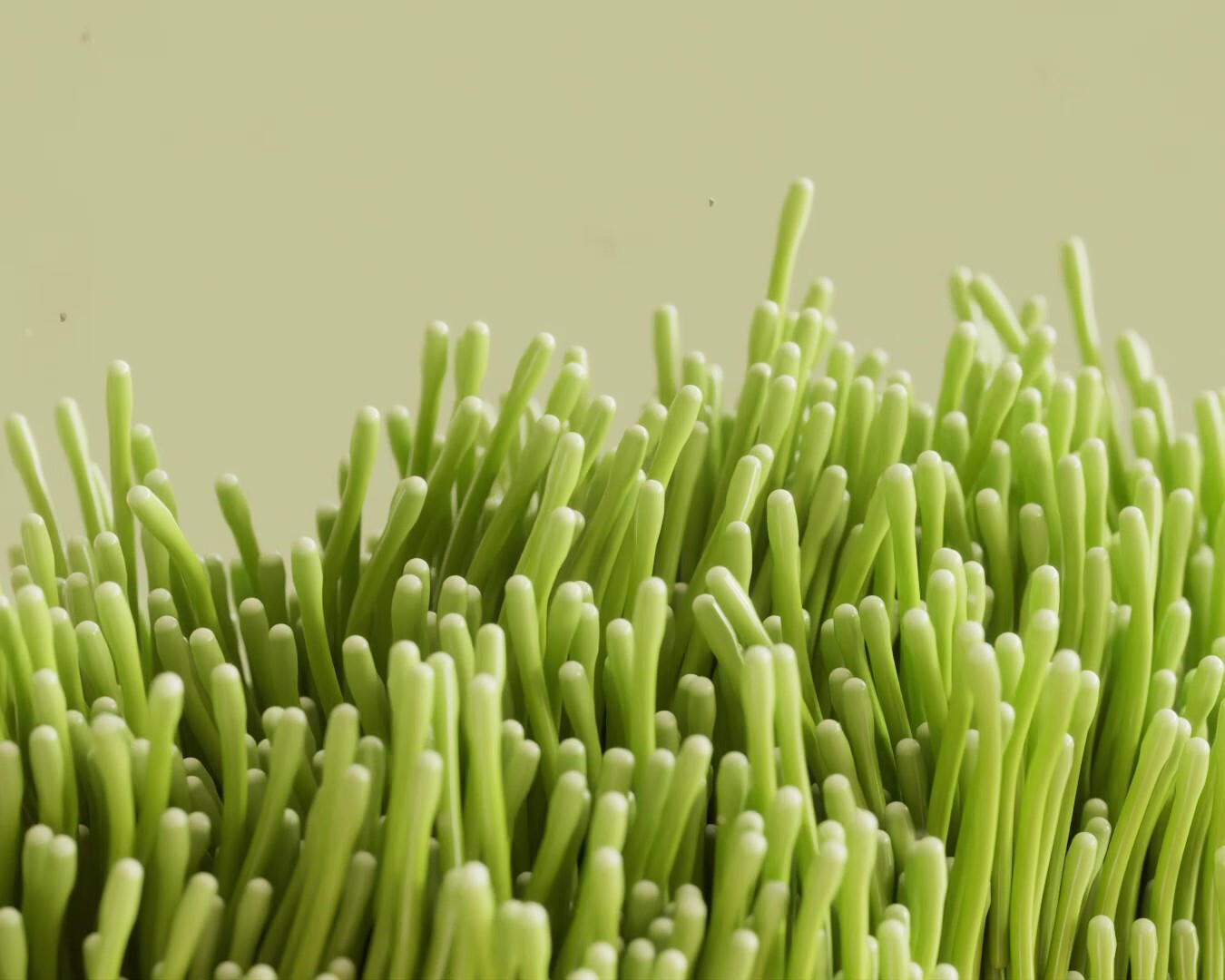 Underwater - انیمیشن سه بعدی گیاهان دریایی - تصویر 9833