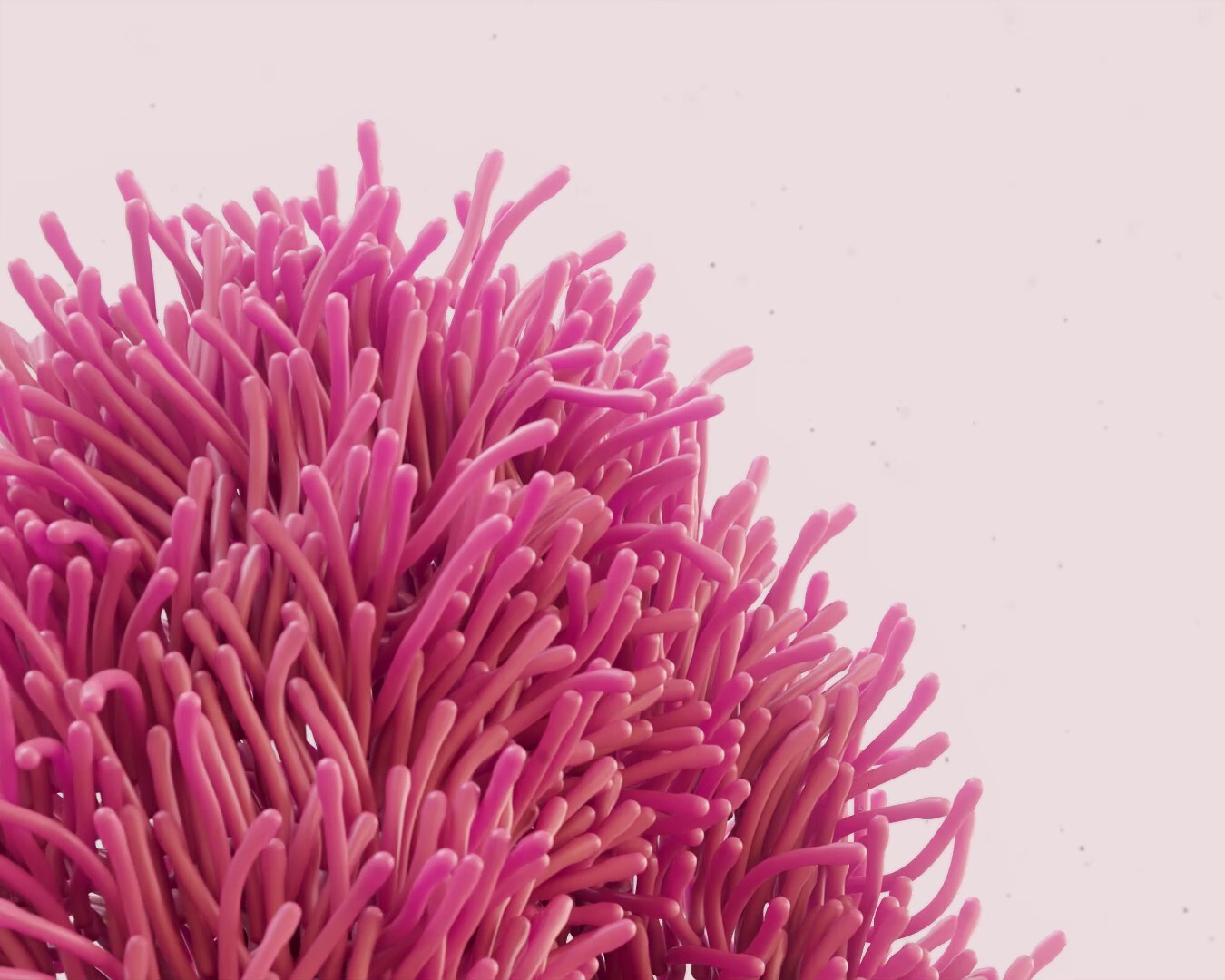 Underwater - انیمیشن سه بعدی گیاهان دریایی - تصویر 9834