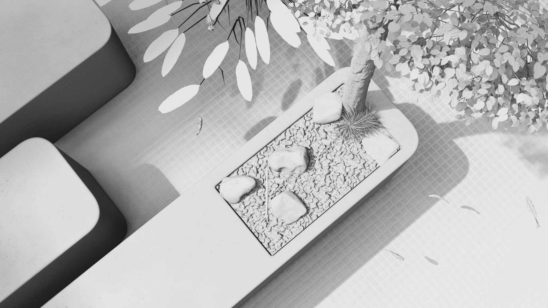 Live Window - تصویر 9849