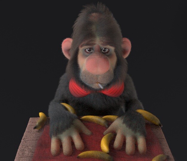 Monkey - تصویر 9884