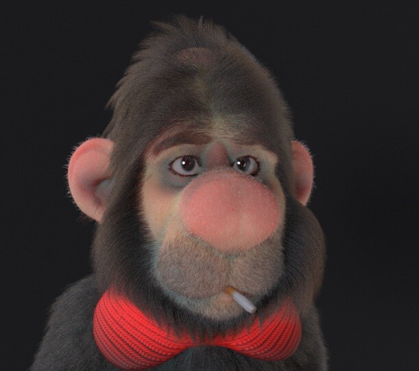 Monkey - تصویر 9885