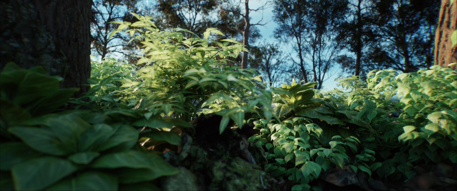 تریلر سینماتیک وایلدر موتورز_آنریل انجین - تصویر 10024