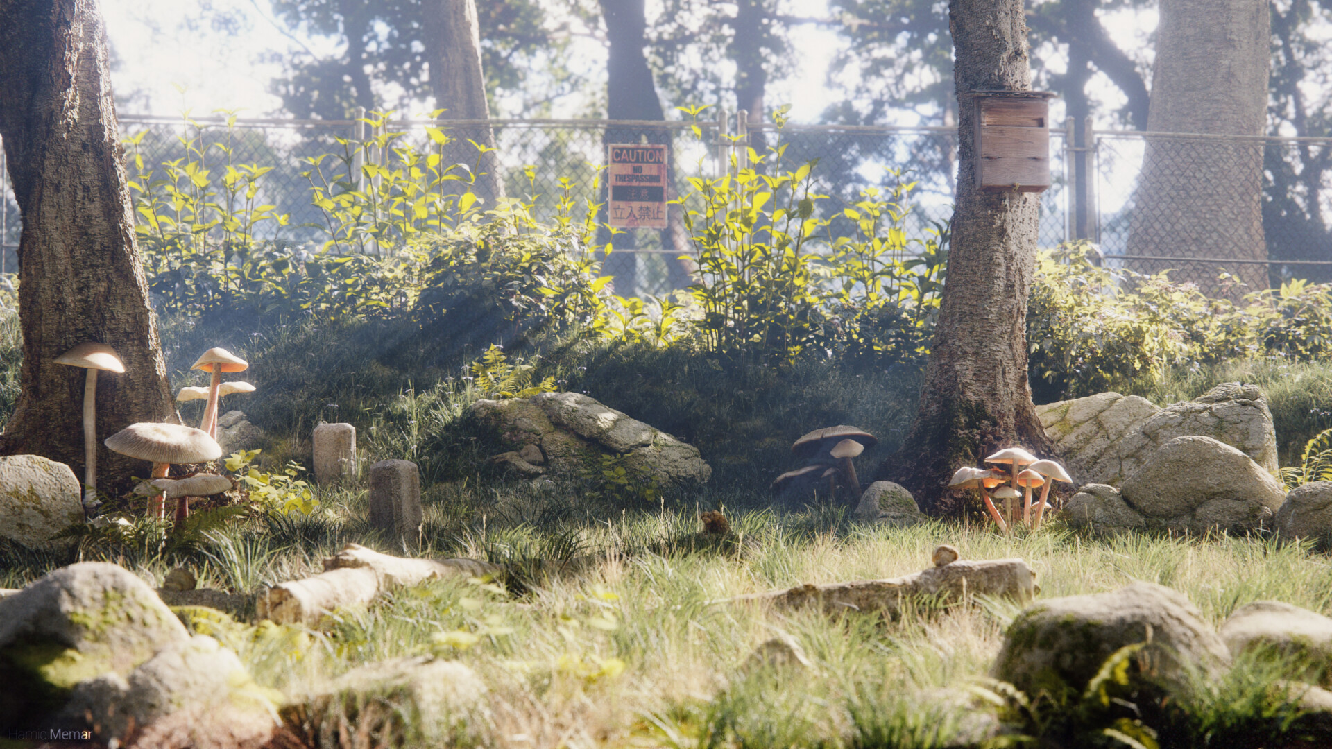 Mushroom Garden Fast Environment Concept - تصویر 10075