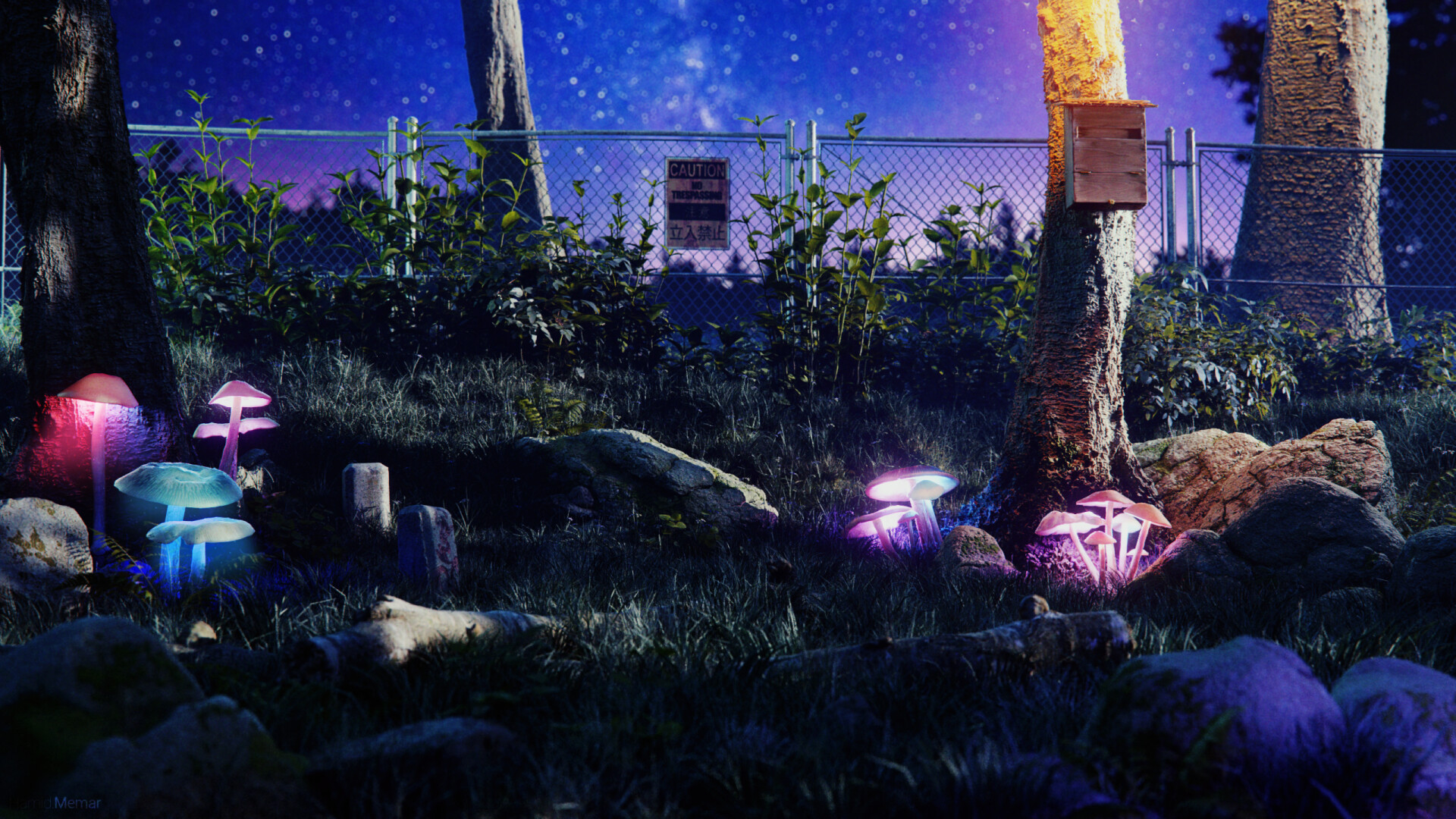 Mushroom Garden Fast Environment Concept - تصویر 10077