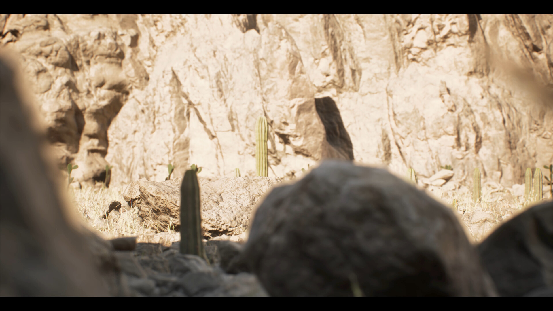 انیمیشن کوتاه سرزمین کاکتوس (Cactus land) - تصویر 10148