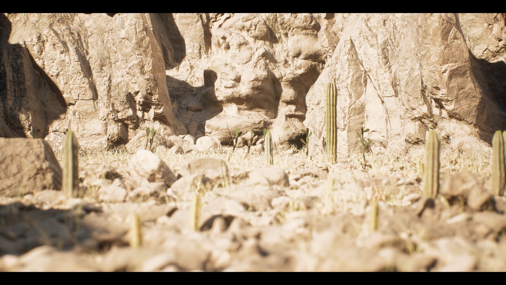 انیمیشن کوتاه سرزمین کاکتوس (Cactus land) - تصویر 10149