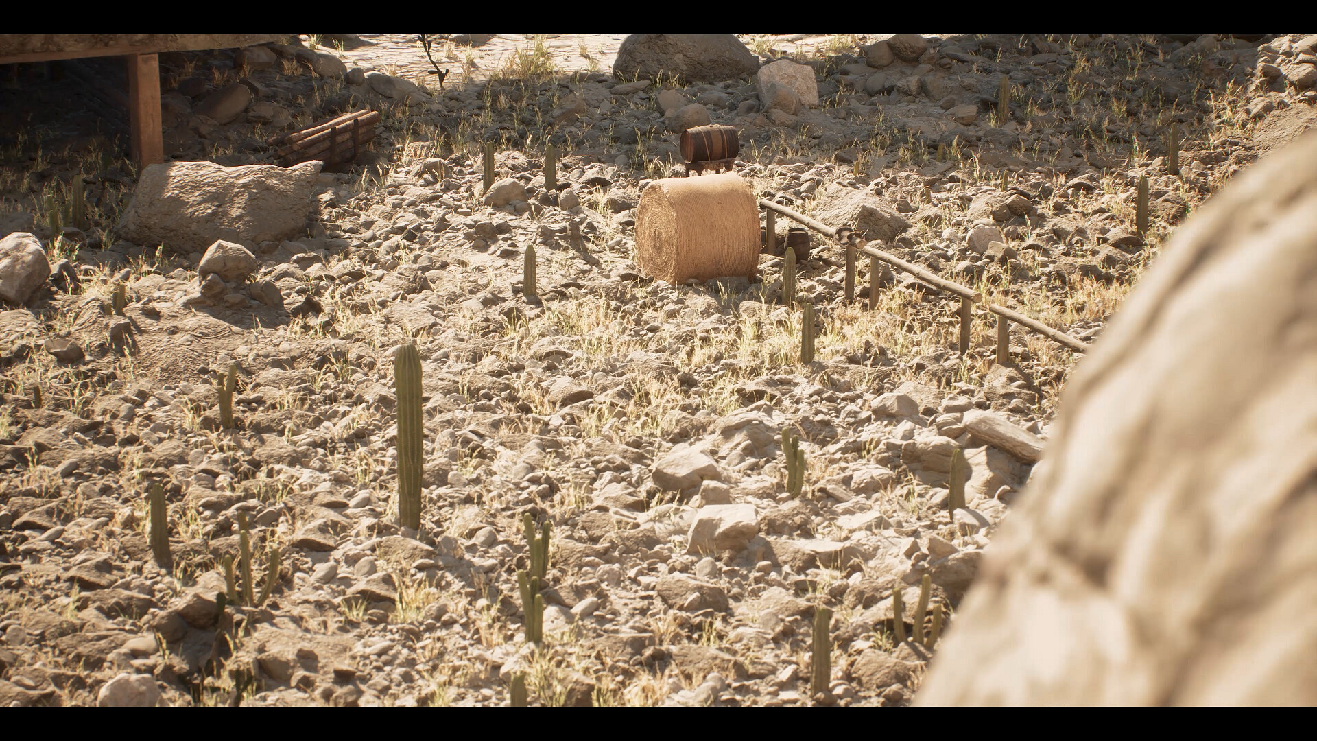 انیمیشن کوتاه سرزمین کاکتوس (Cactus land) - تصویر 10150