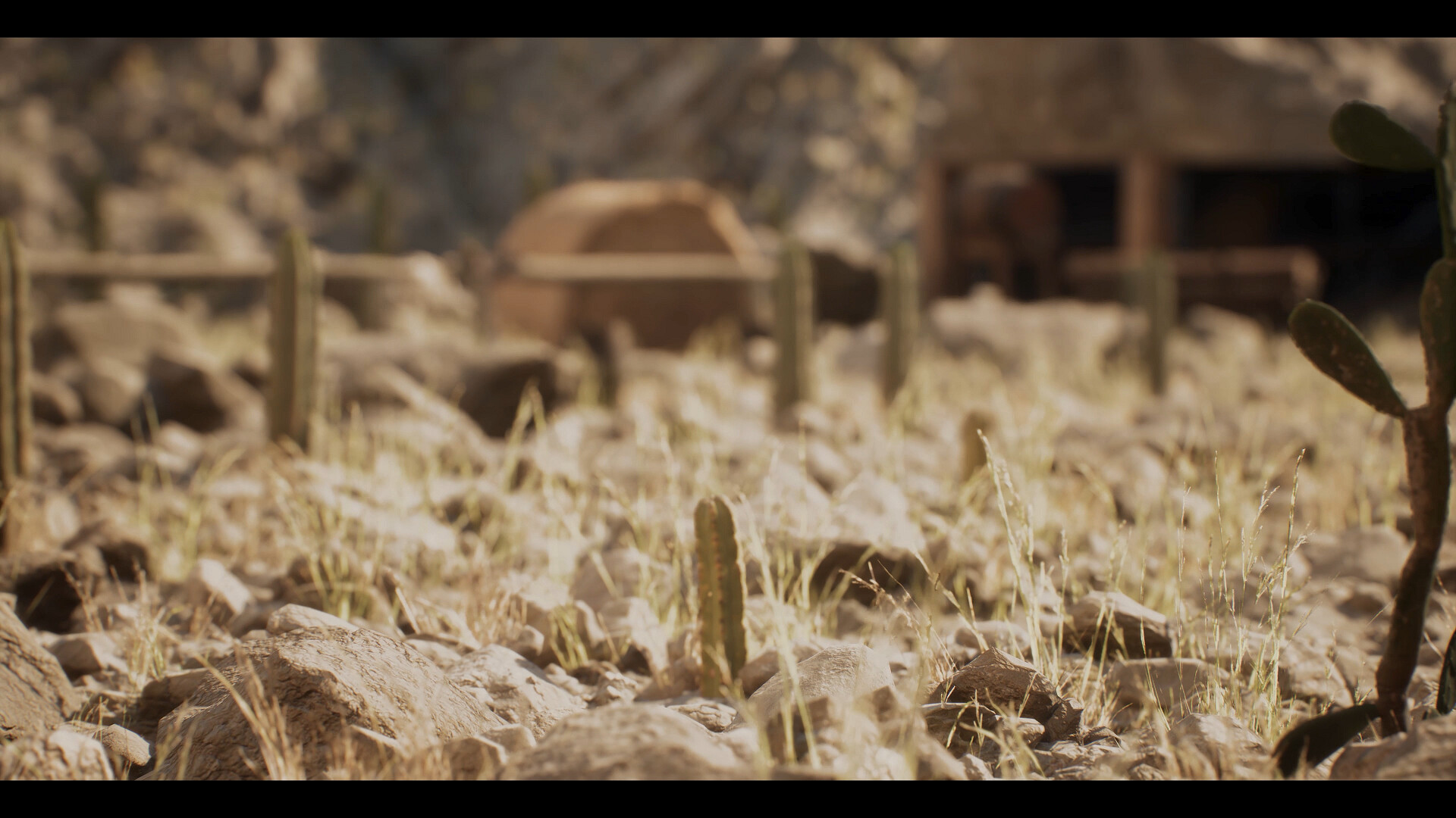 انیمیشن کوتاه سرزمین کاکتوس (Cactus land) - تصویر 10151