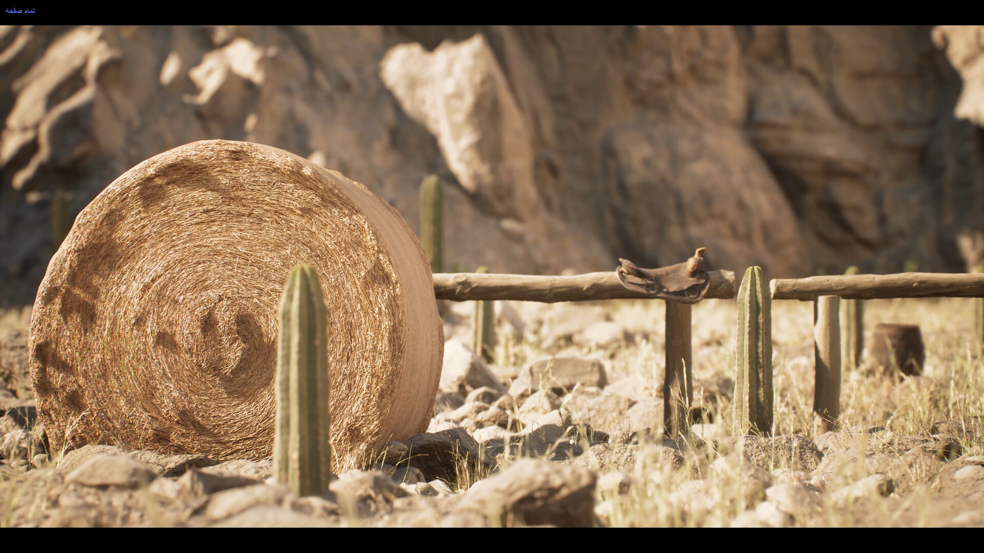 انیمیشن کوتاه سرزمین کاکتوس (Cactus land) - تصویر 10152