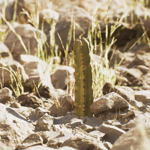 انیمیشن کوتاه سرزمین کاکتوس (Cactus land)