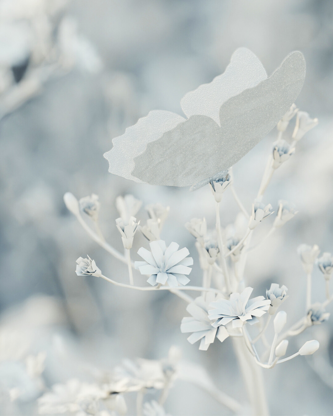 Butterfly - تصویر 10416