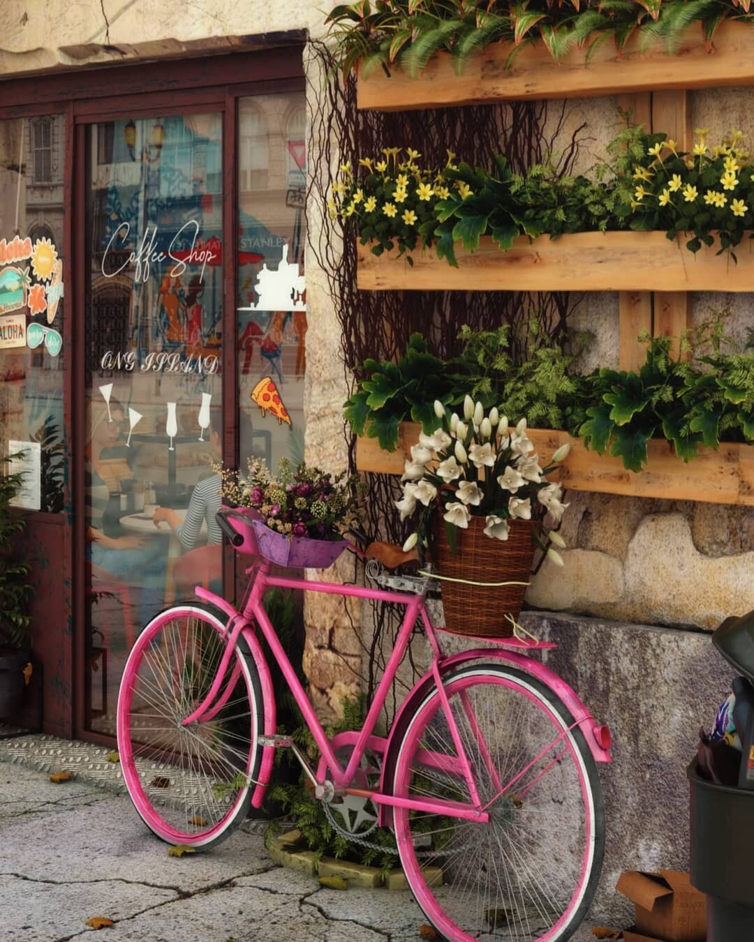 the  bicycle - تصویر 10439