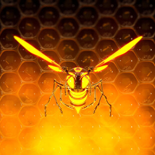 Hell wasp
