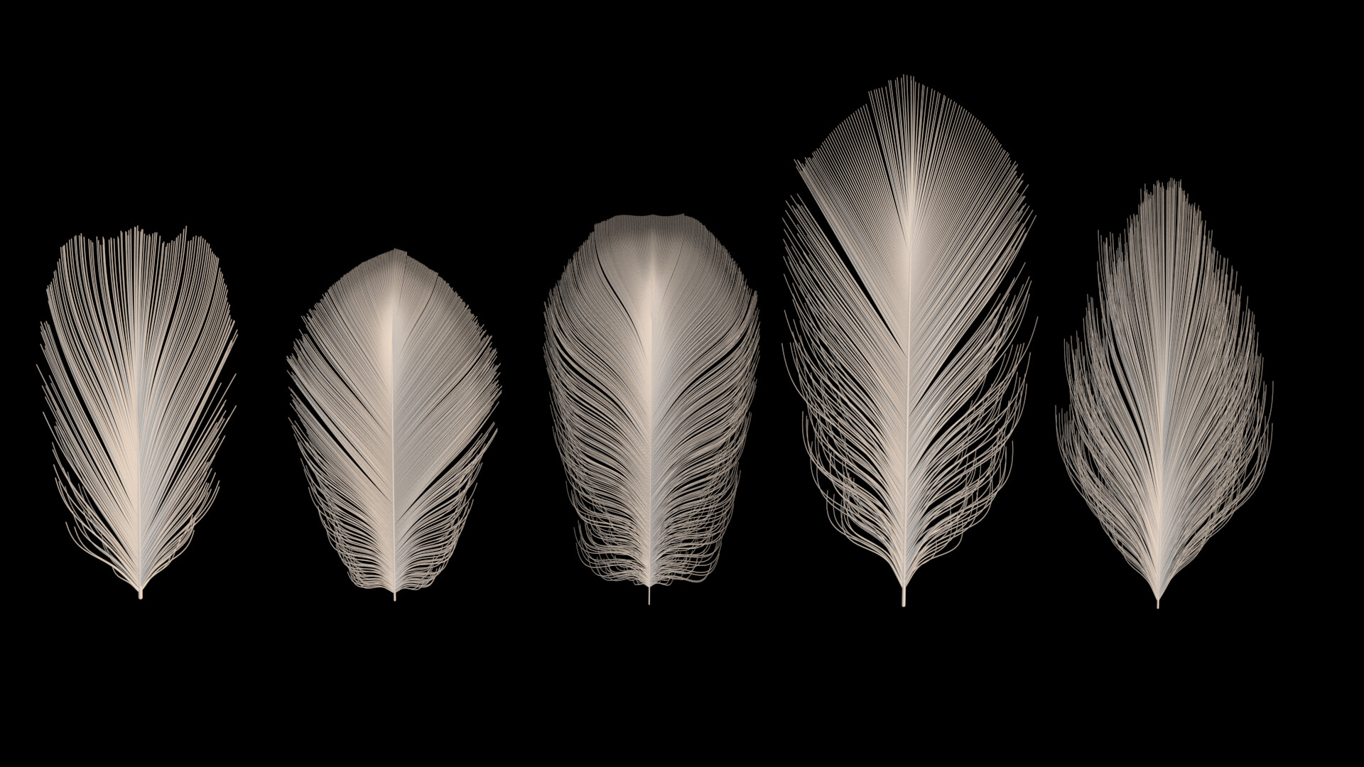 Kingfisher - تصویر 10507