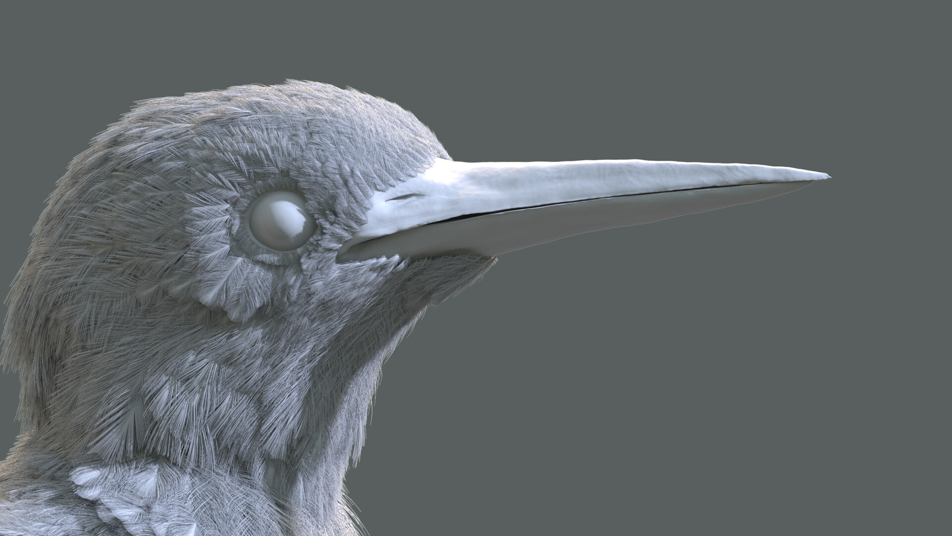 Kingfisher - تصویر 10509