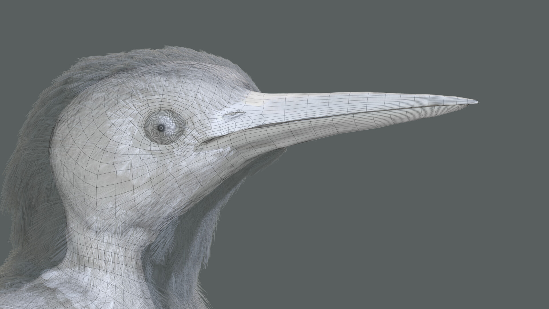 Kingfisher - تصویر 10512