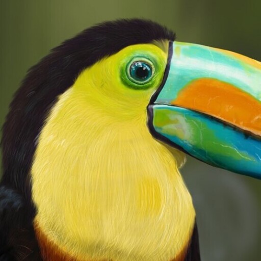 تصویر سازی طوطی