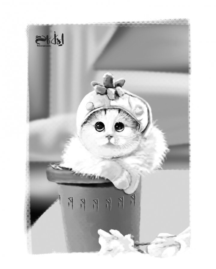 تصویر سازی گربه سفید - تصویر 10529