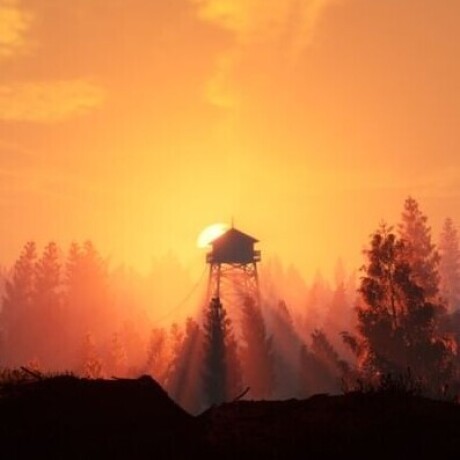 Fire watch