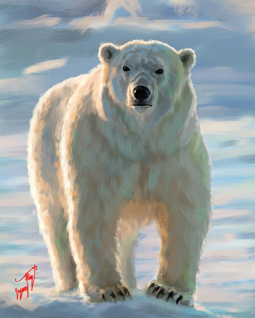 polar bear - تصویر 10562