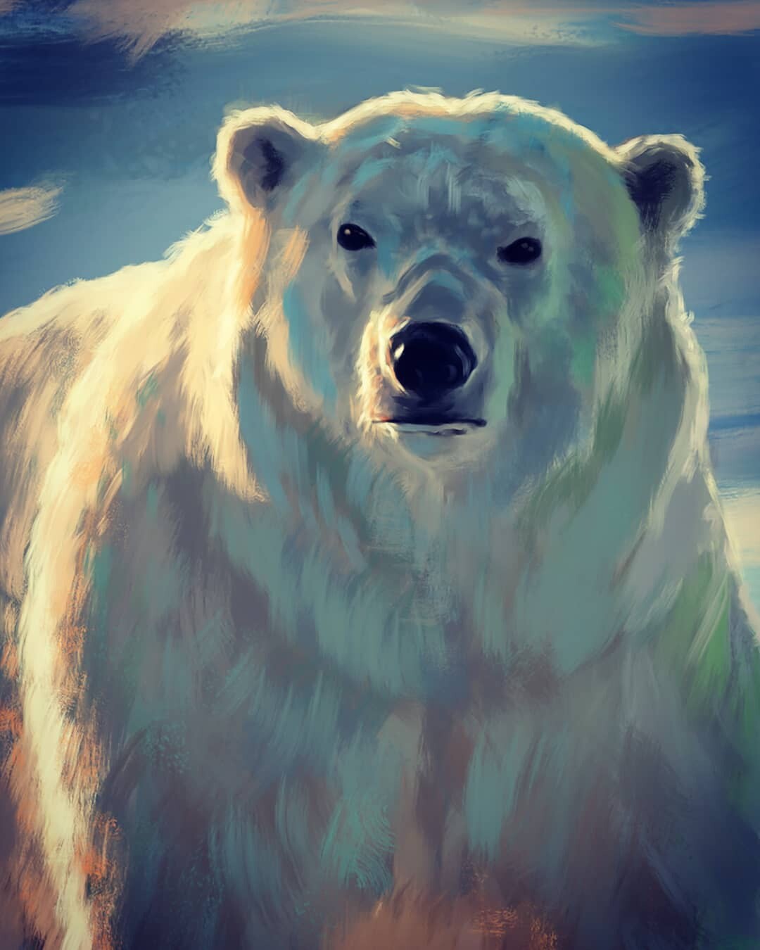 polar bear - تصویر 10563