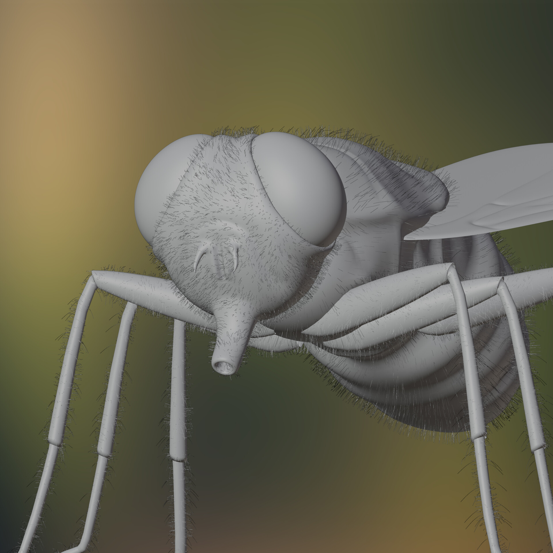 مگس! - تصویر 10628