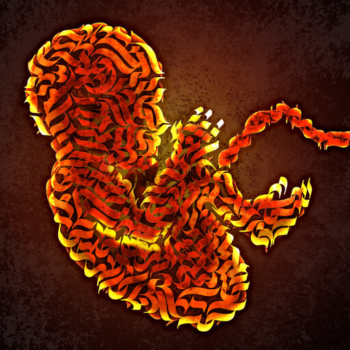 نامه به کودکی که هرگز زاده نشد