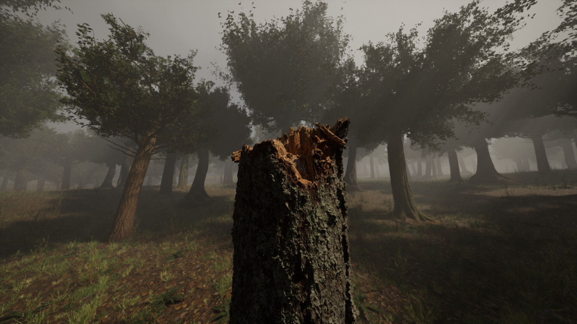 Forest with Nanite - Unreal Engine 5 - تصویر 10890