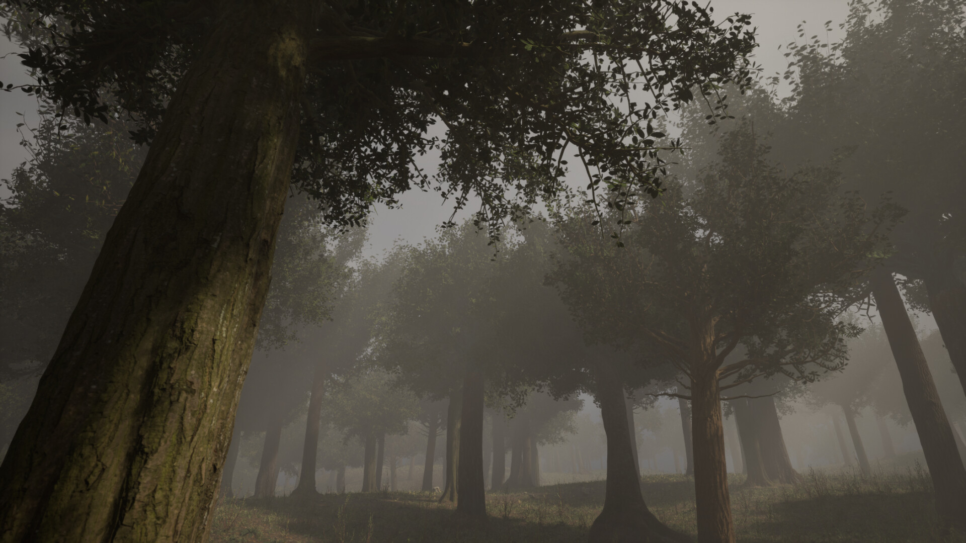 Forest with Nanite - Unreal Engine 5 - تصویر 10892