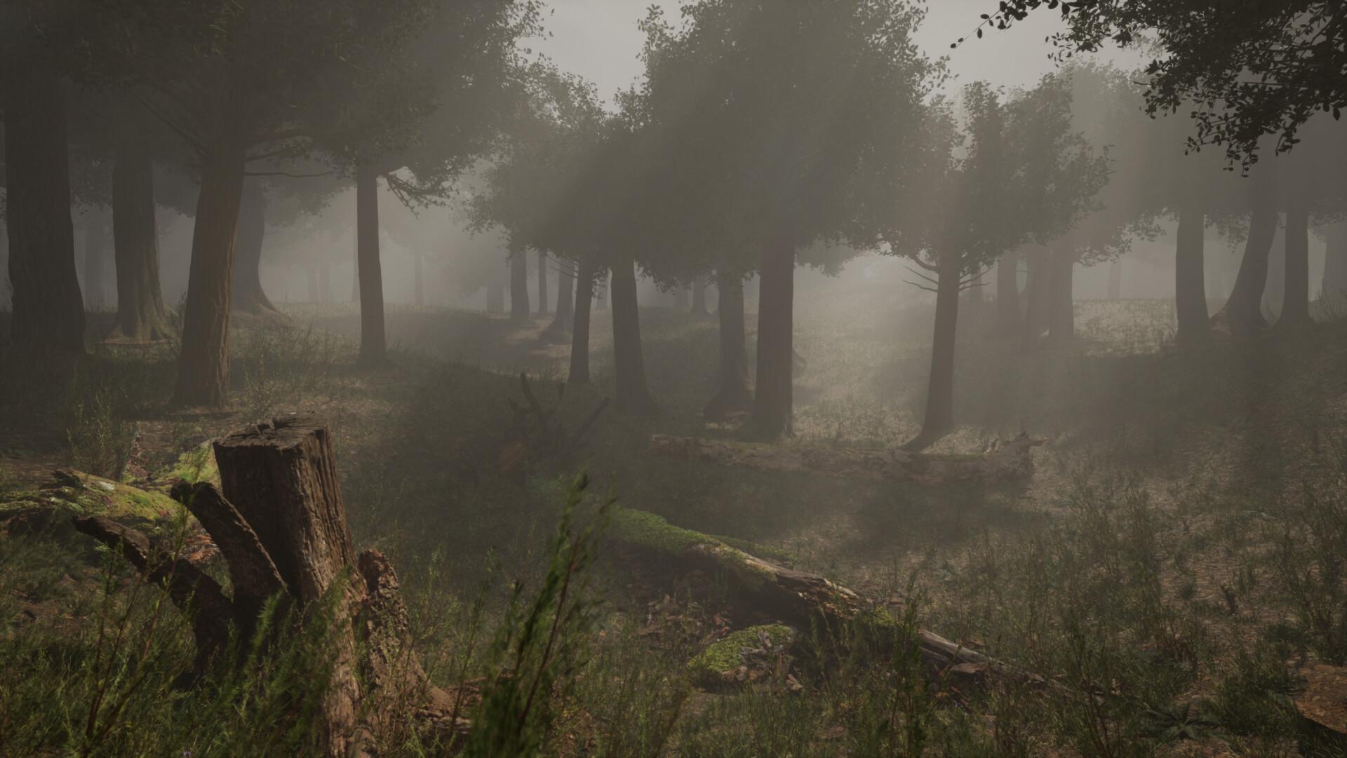 Forest with Nanite - Unreal Engine 5 - تصویر 10894