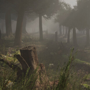Forest with Nanite - Unreal Engine 5