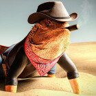 Dragon Lizard Gangster!