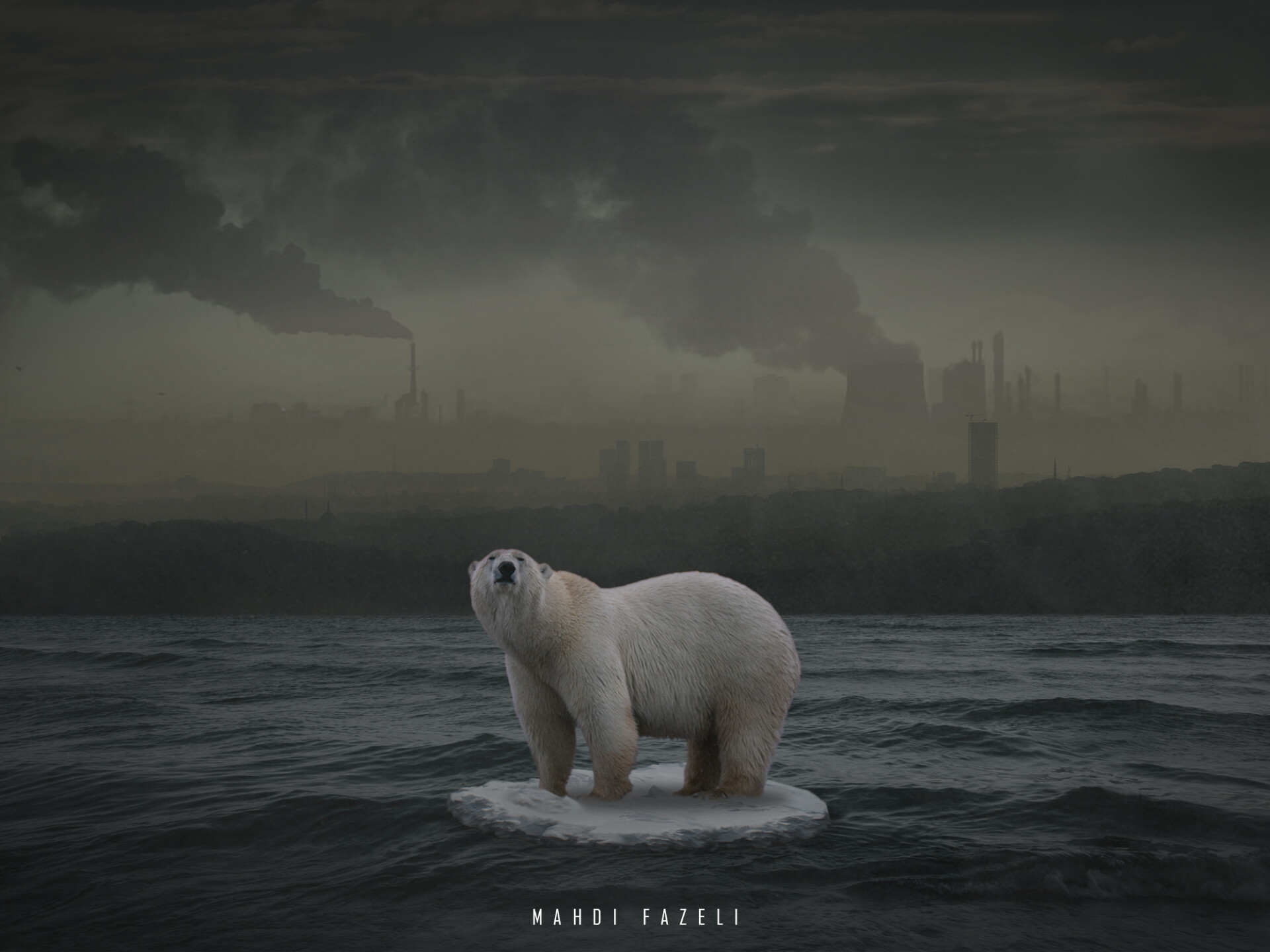 Composite | Photomontage - تصویر 13420