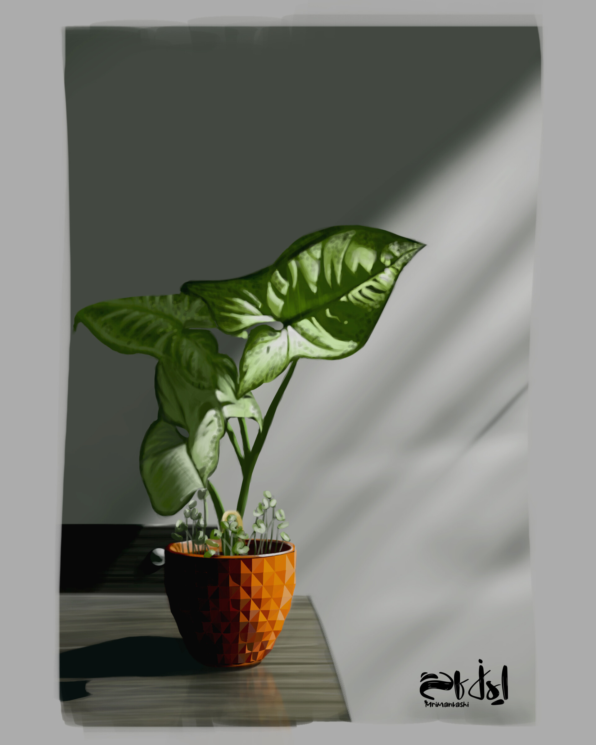 تصویر سازی و طراحی گیاه سینگونیوم - تصویر 11340