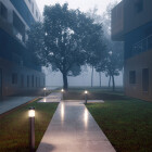 Centrality of the way