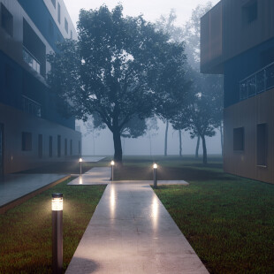 Centrality of the way