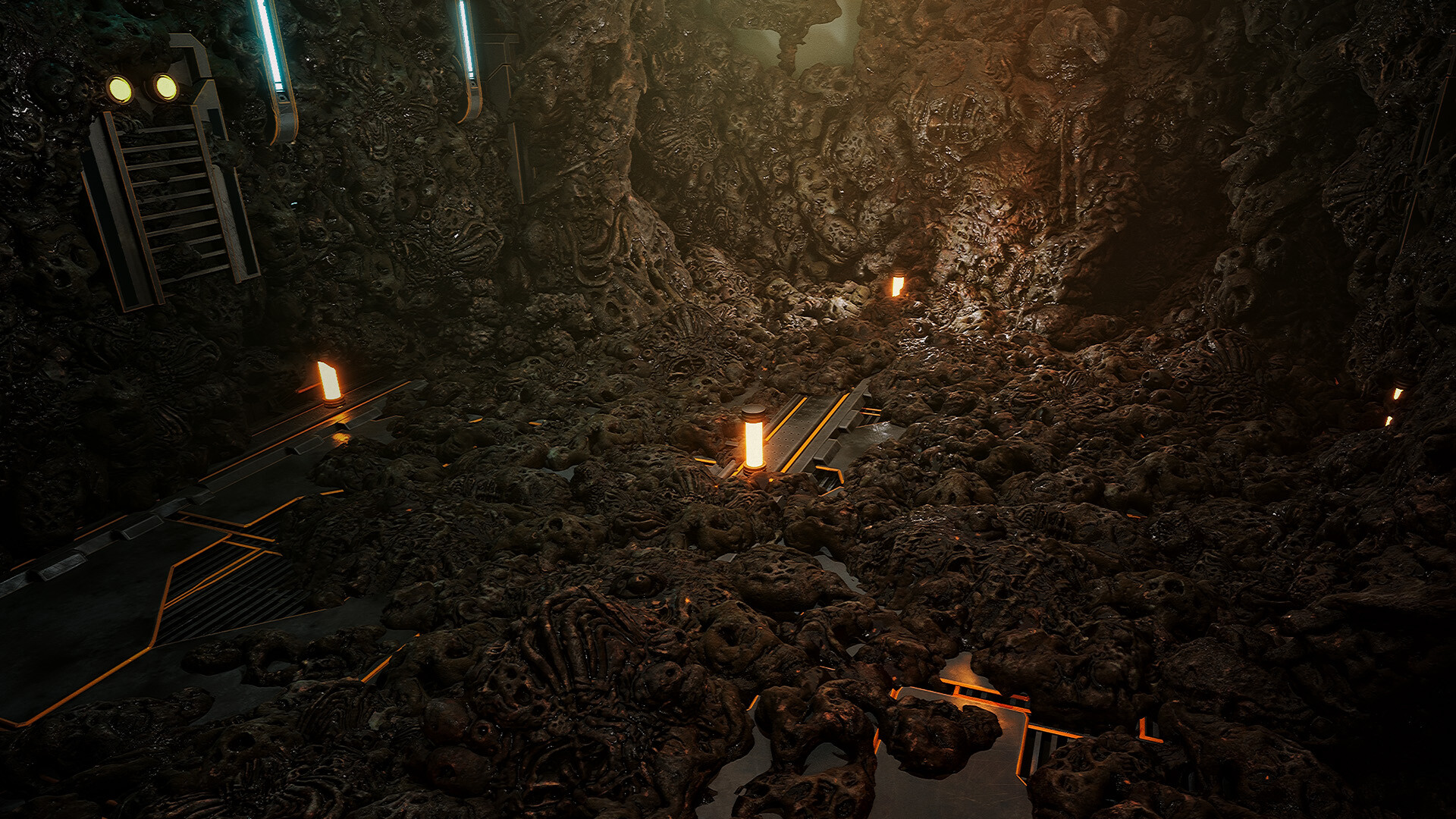 سیکا : وحشت بیولوژیک - تصویر 11370