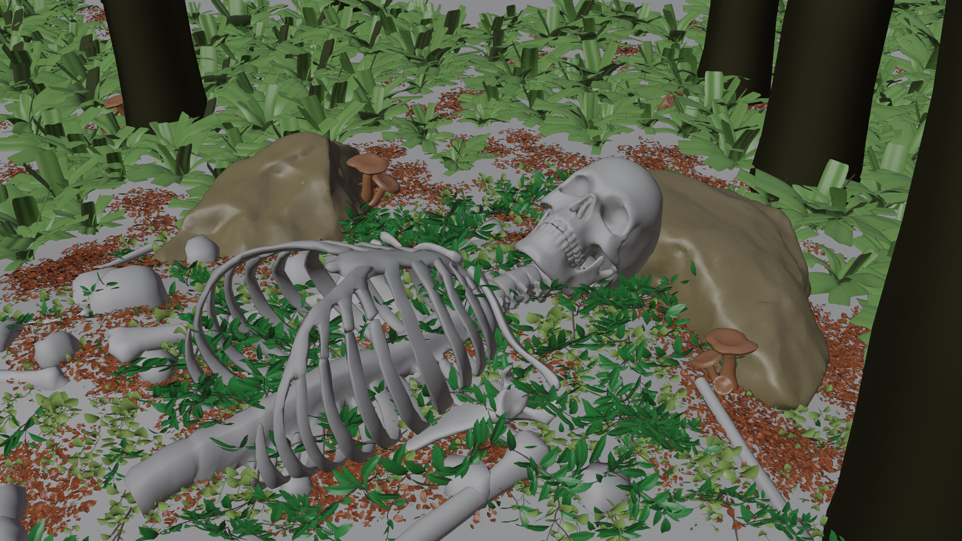 باقیمانده - تصویر 11448