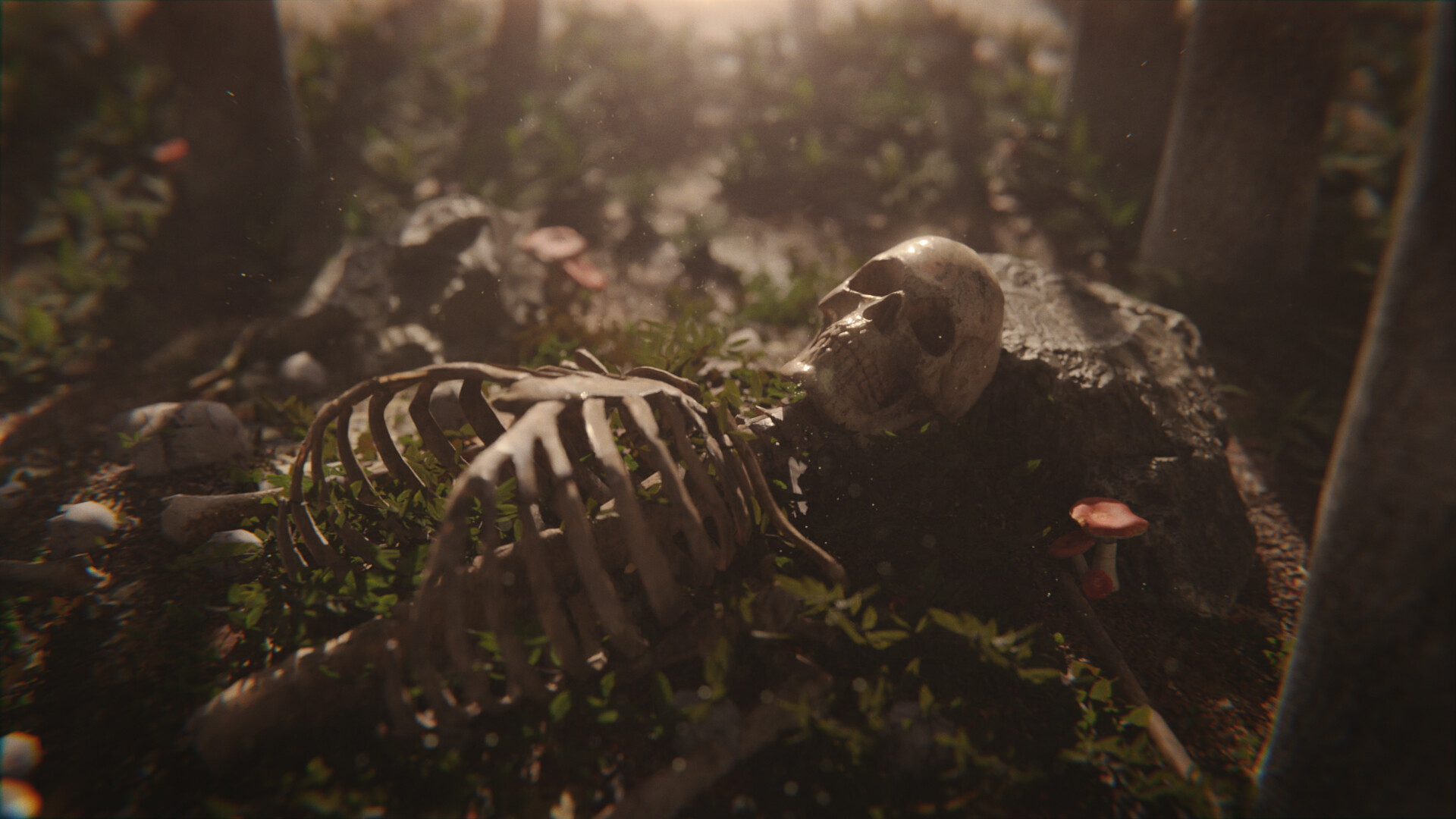 باقیمانده - تصویر 11447