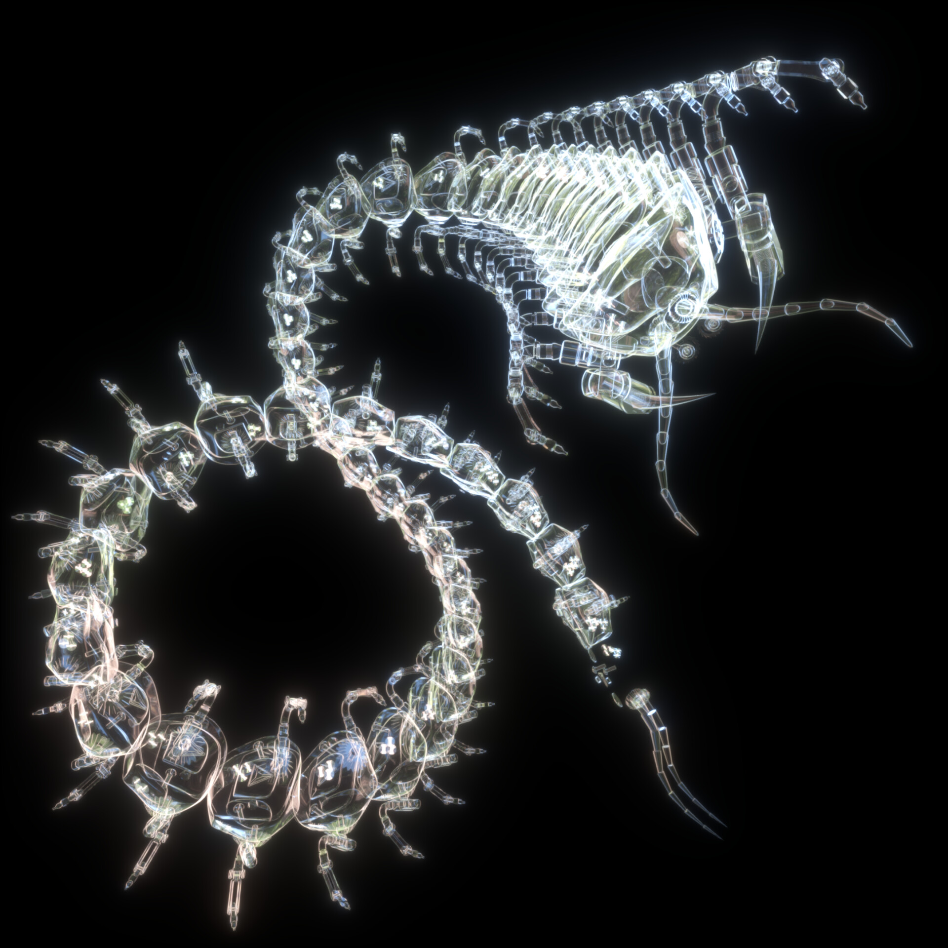 Legendary scolopendra - تصویر 11642