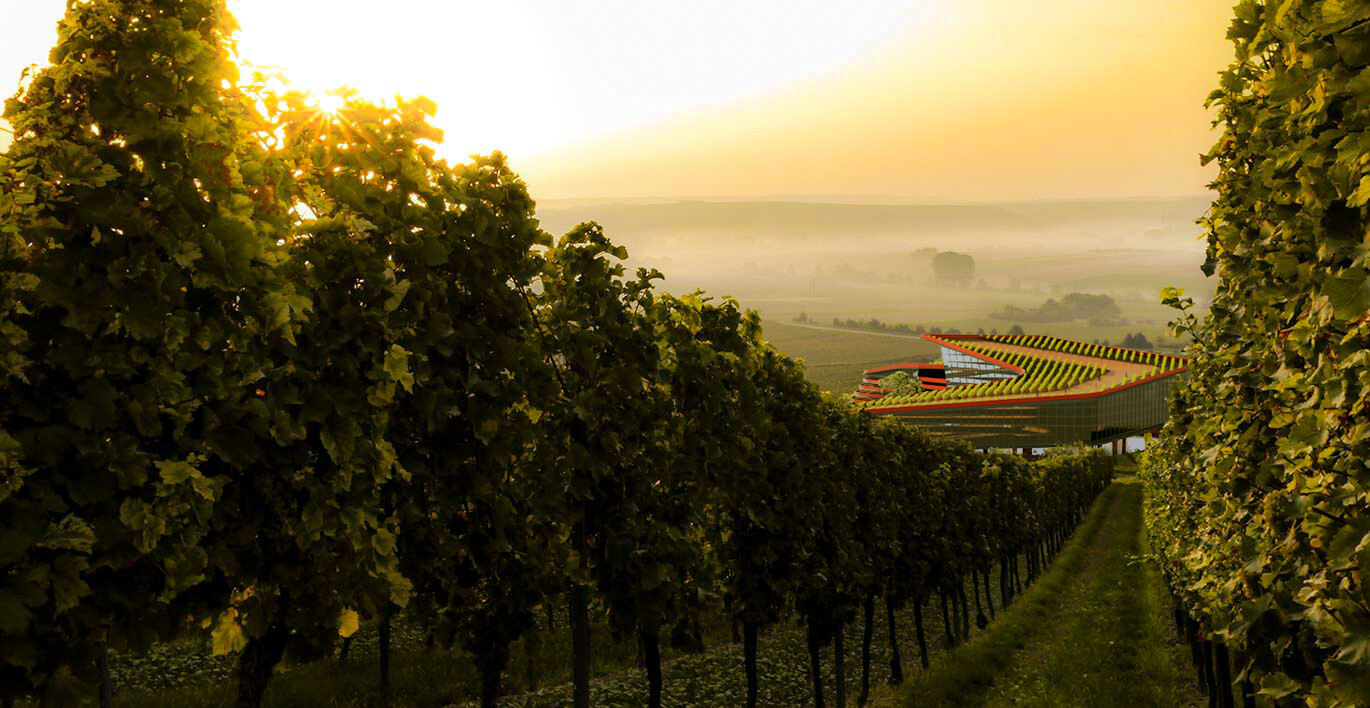 Continues Vineyard - تصویر 11729