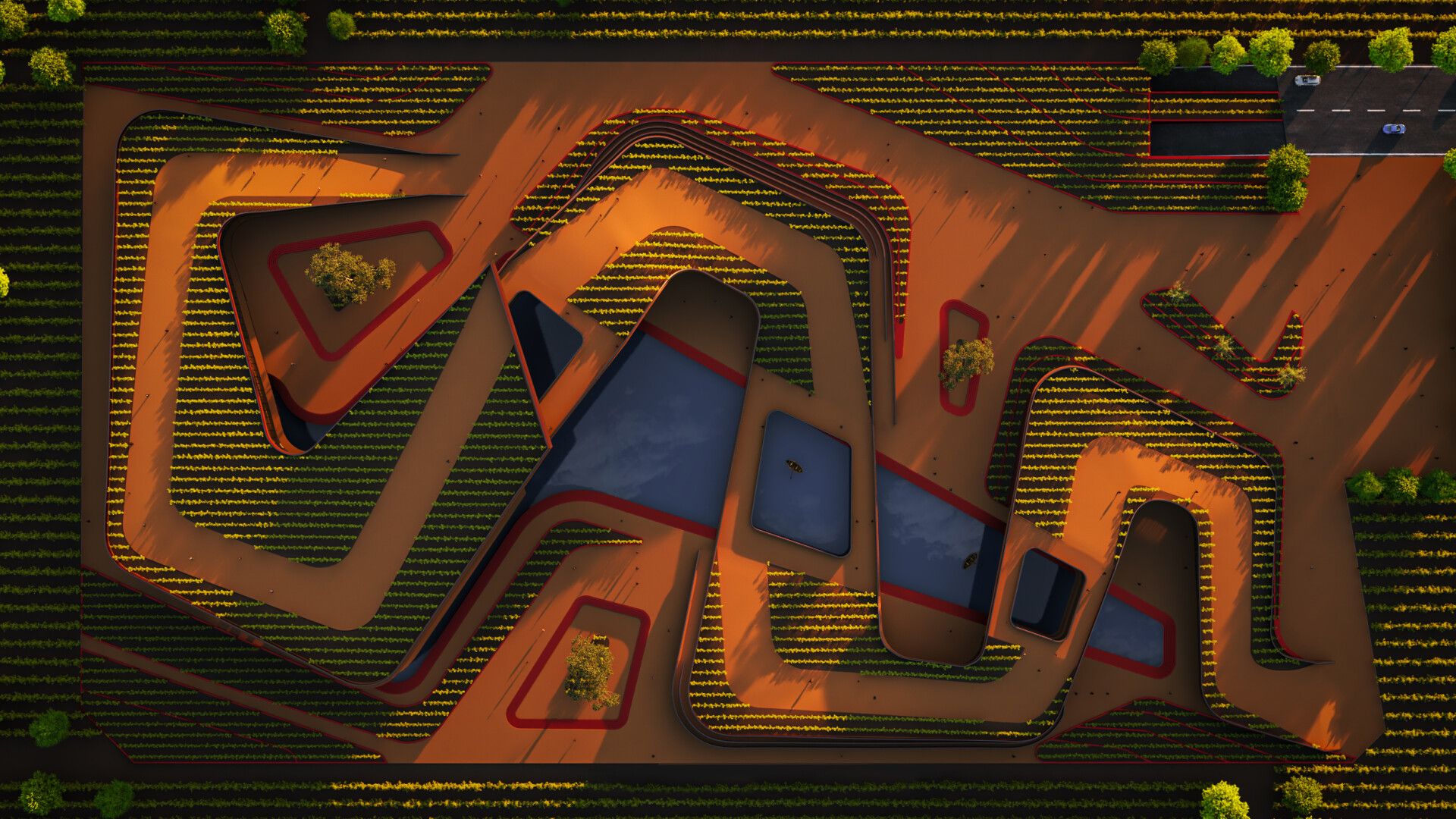 Continues Vineyard - تصویر 11733