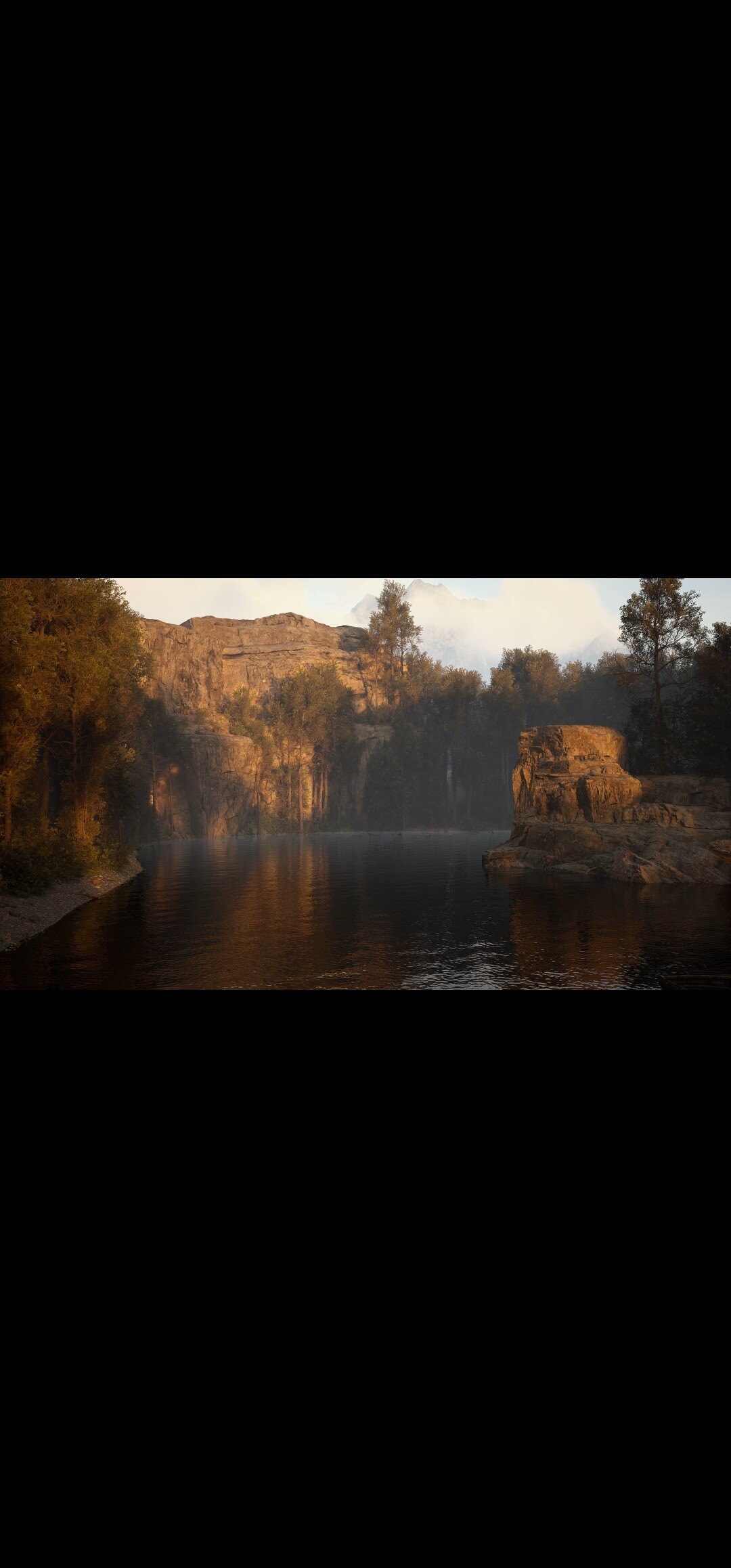 Lost in the woods - تصویر 11759