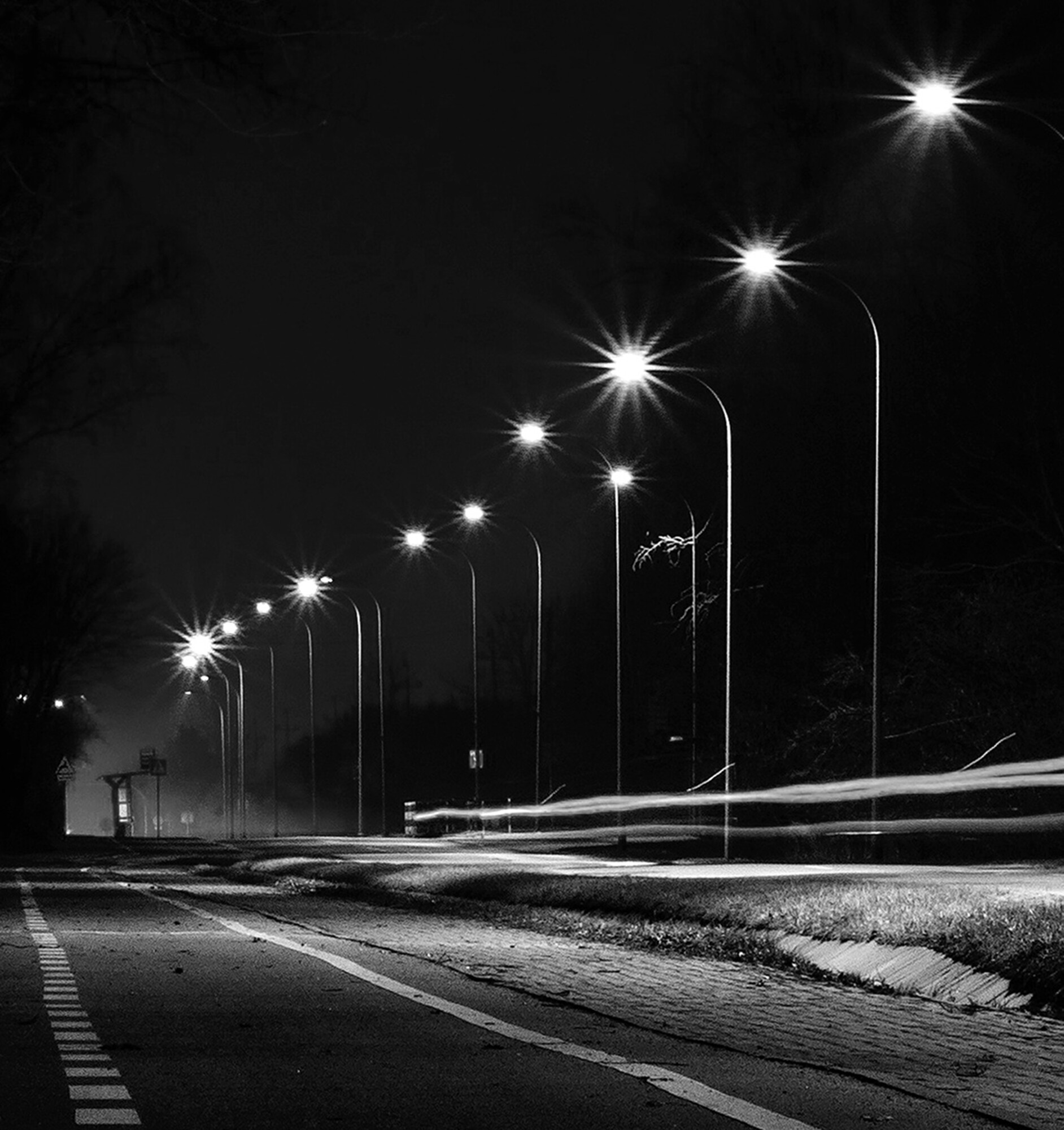 Player 456 - تصویر 11857