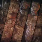 سیکا : وحشت بیولوژیکی 2