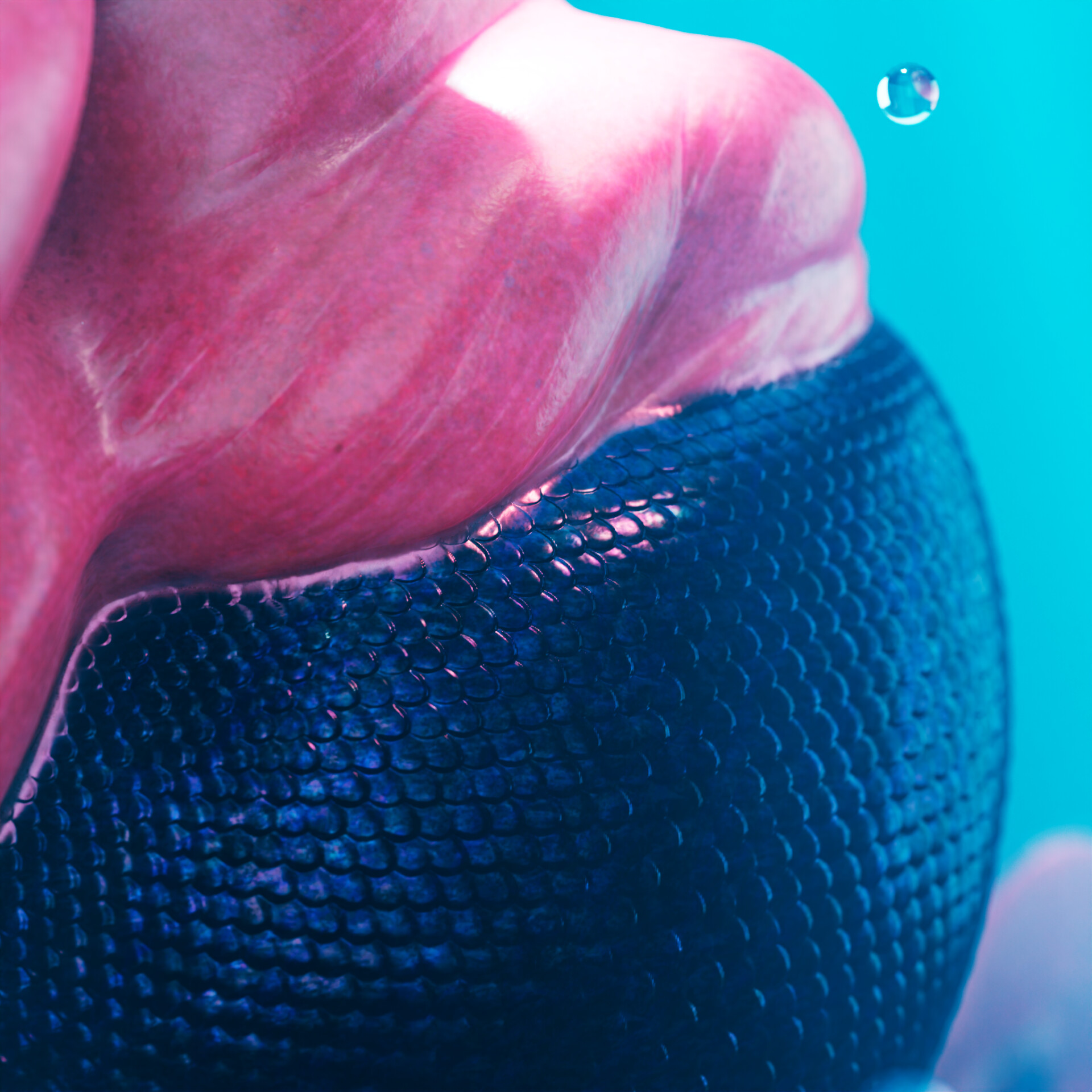 Sea Witch - تصویر 11895